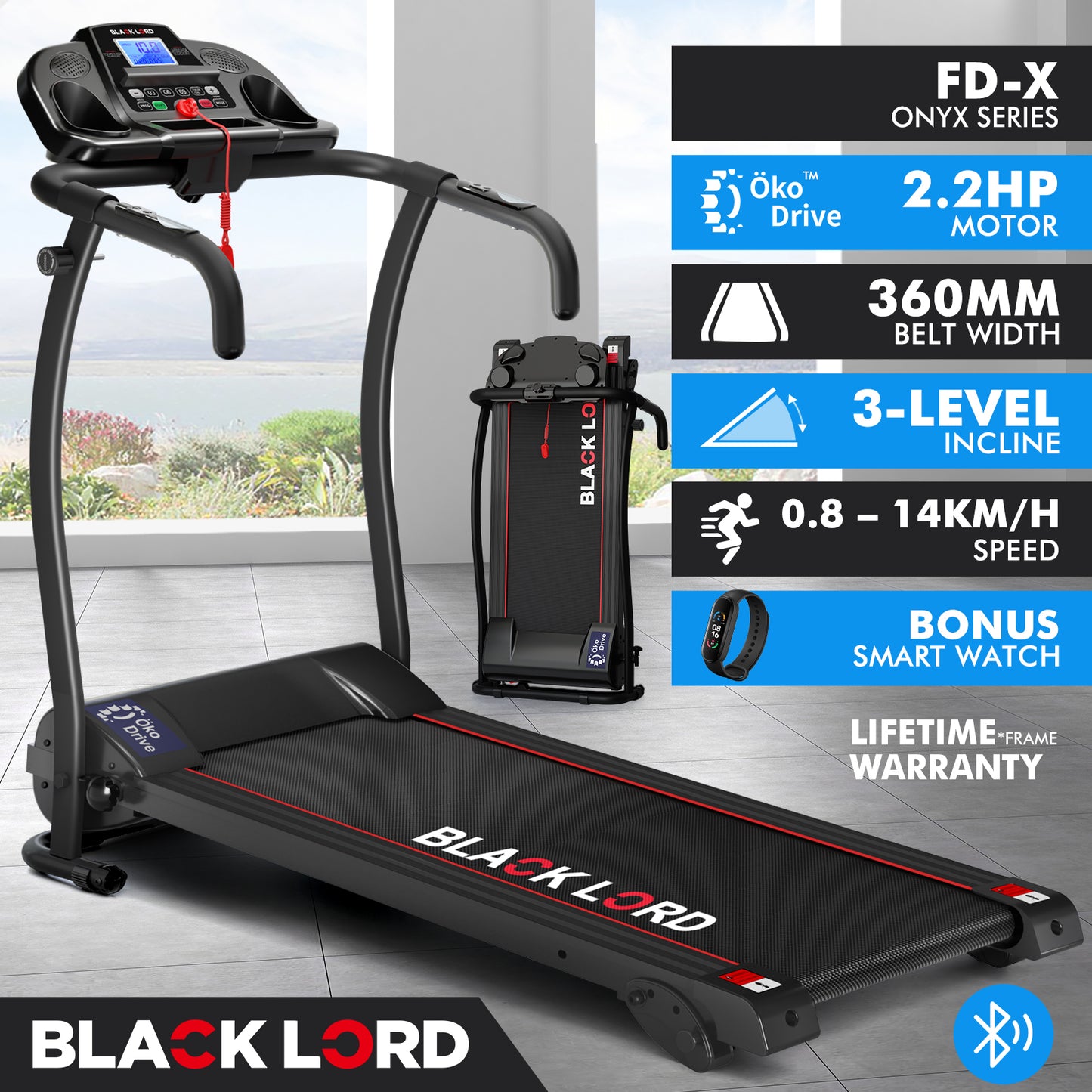 BLACK LORD Treadmill Electric Exercise Running Machine Foldable Walking Pad