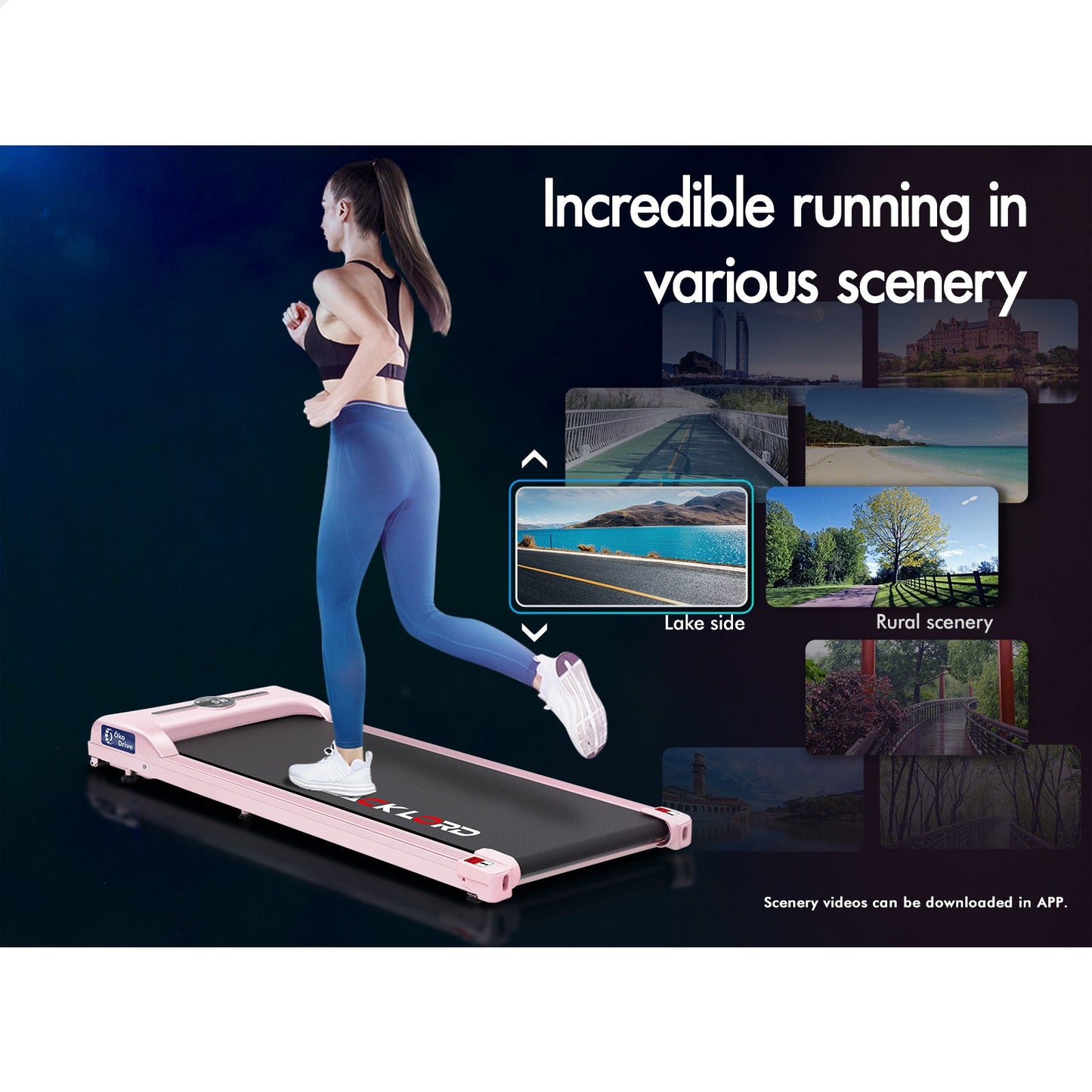 BLACK LORD Treadmill Electric Walking Pad Exercise Home Gym Fitness Machine