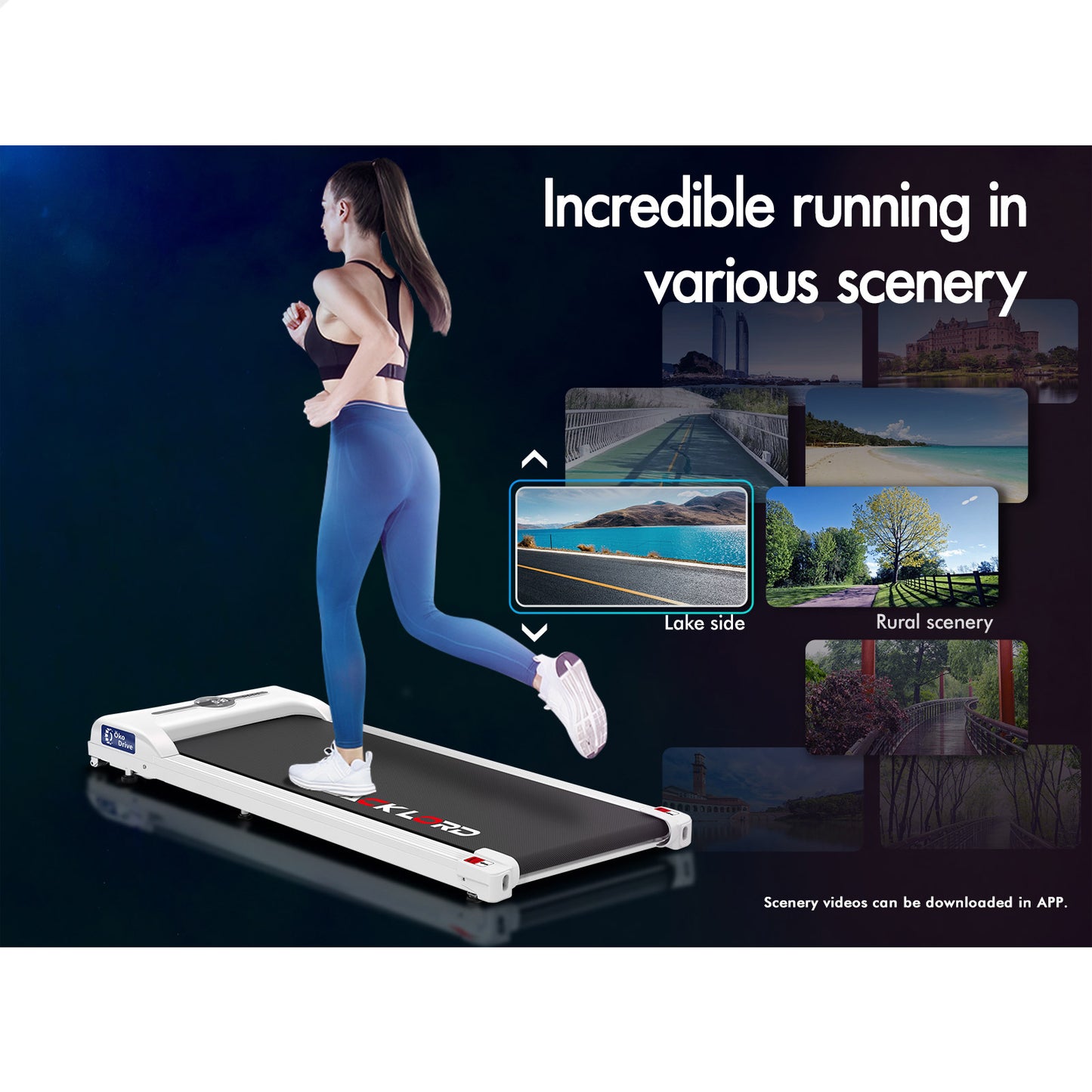 BLACK LORD Treadmill Electric Walking Pad Home Office Fitness Gym Remote Control