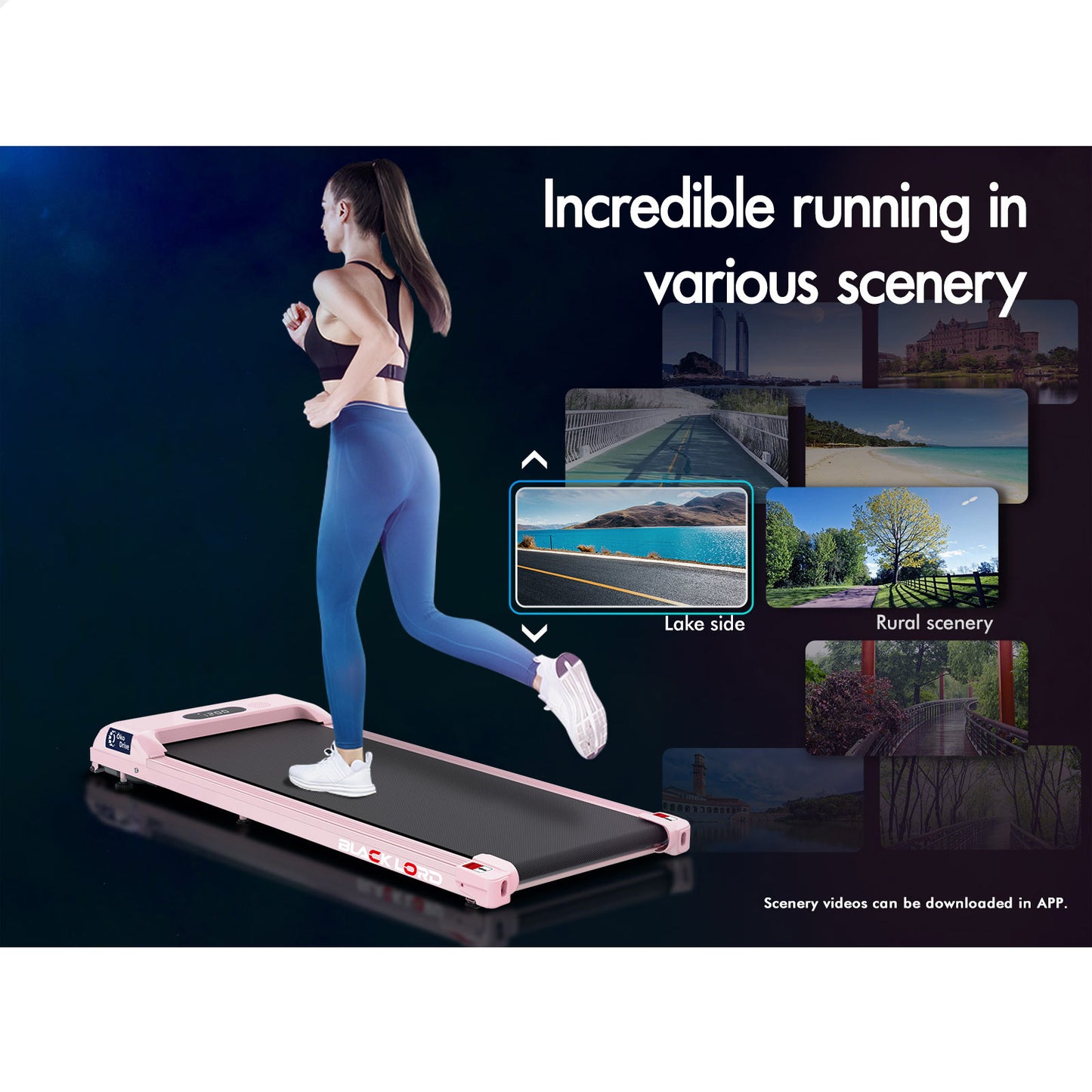 BLACK LORD Treadmill Electric Walking Pad Home Office Gym Fitness Remote Control