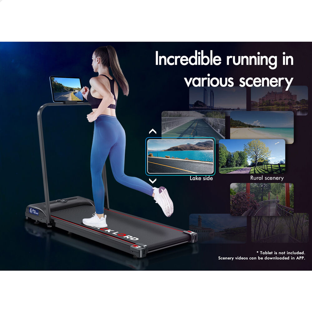 BLACK LORD Treadmill Walking Pad Foldable
