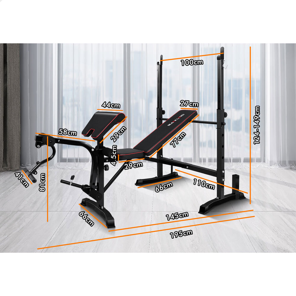 BLACK LORD Weight Bench 10in1 Multi-Station