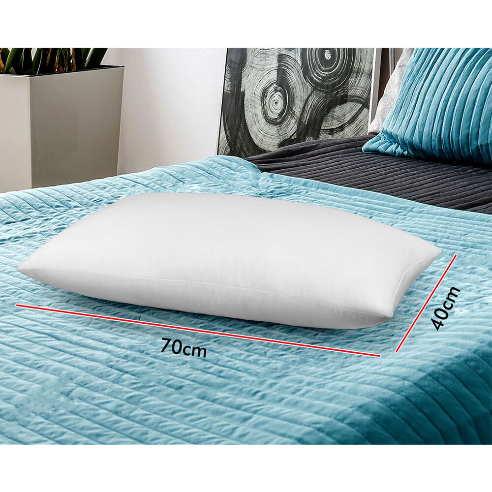 Starry Eucalypt Pillow Microfibre Cushion Twin Pack Soft Bed Hotel Home Set 70x40CM