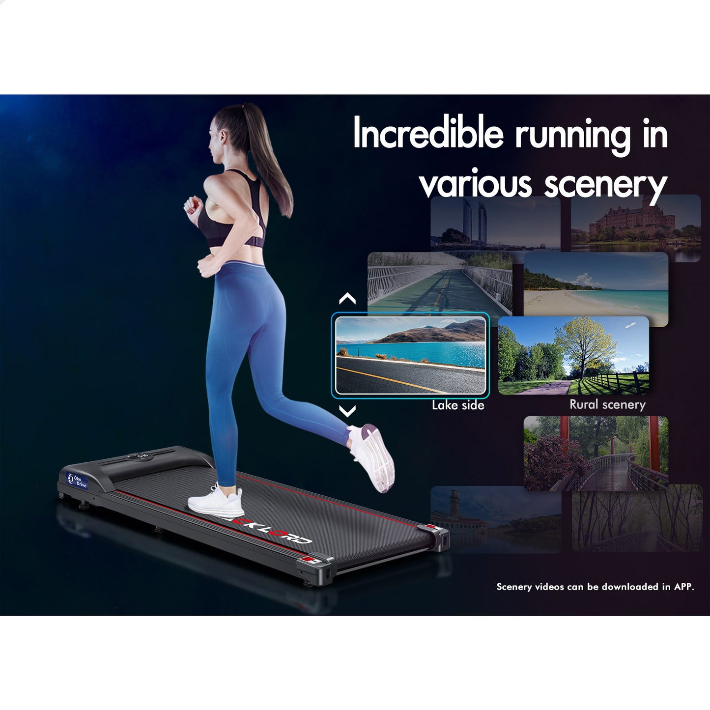 BLACK LORD Treadmill Electric Walking Pad