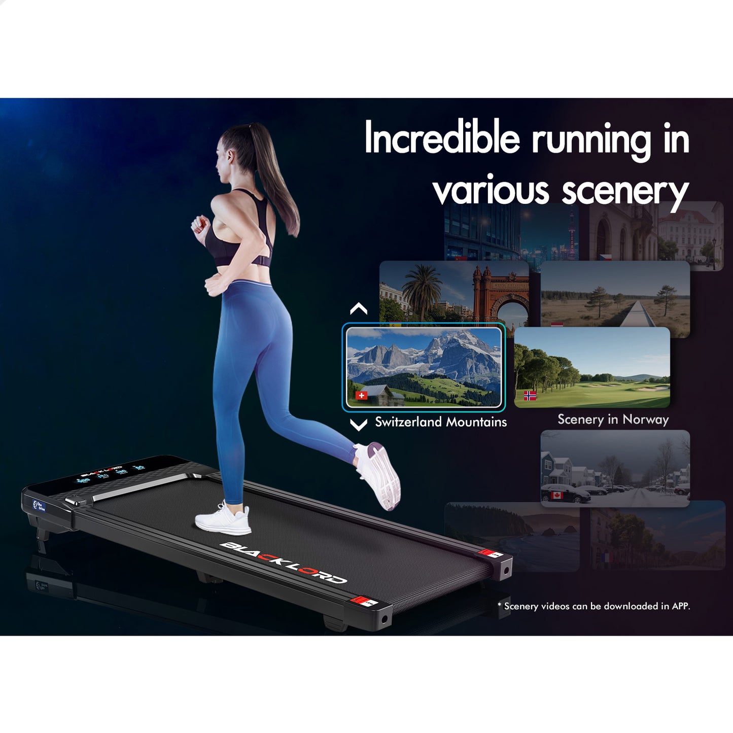 BLACK LORD Treadmill Electric Walking Pad Under Desk Home Gym Incline 430mm Belt