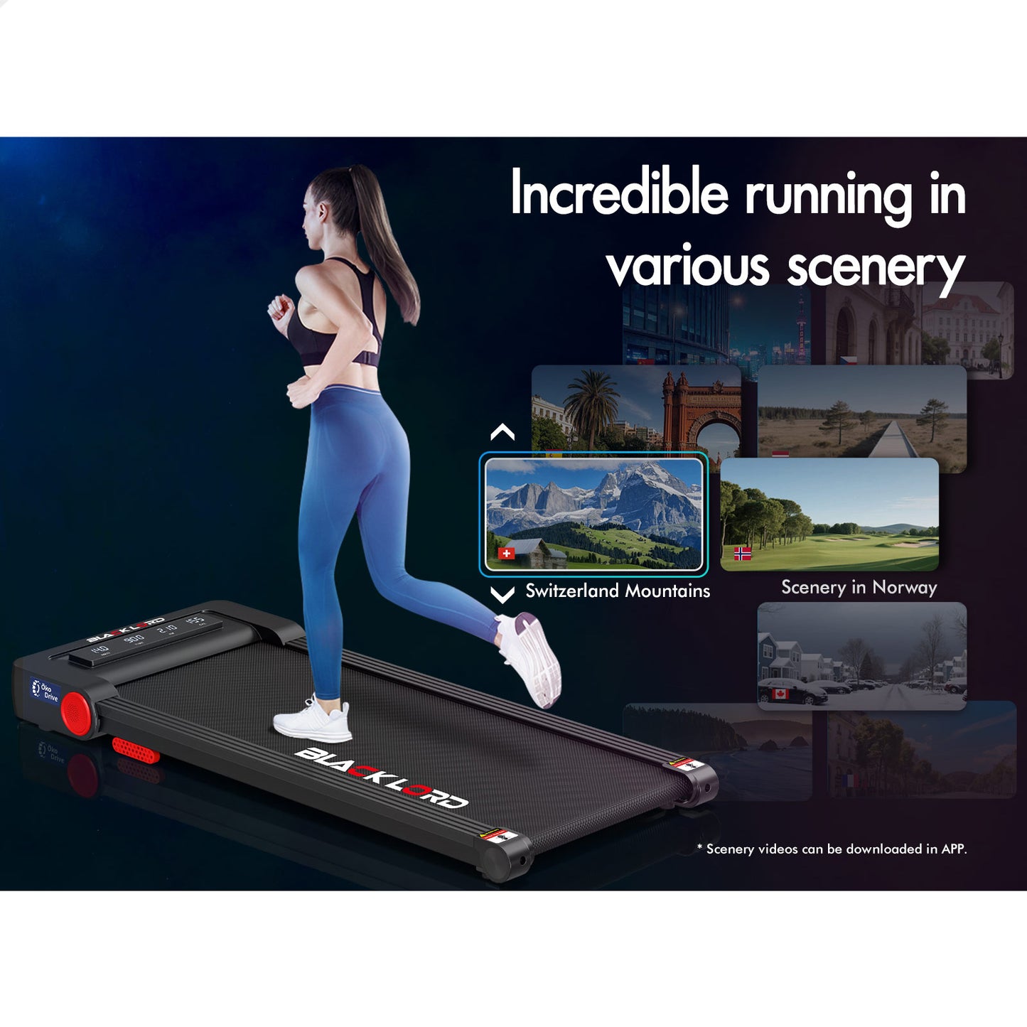 BLACK LORD Treadmill Electric Walking Pad Under Desk Home Gym Fitness 450mm Belt