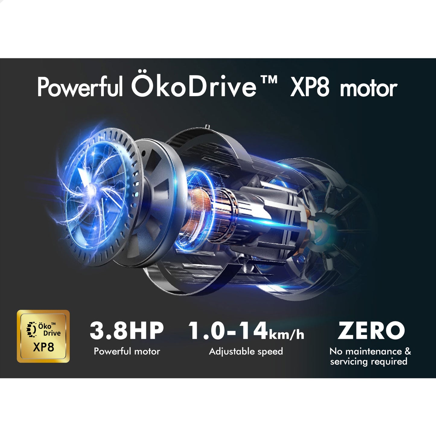 BLACK LORD Treadmill Electric Walking Pad Under Desk Home Gym Fitness 450mm Belt