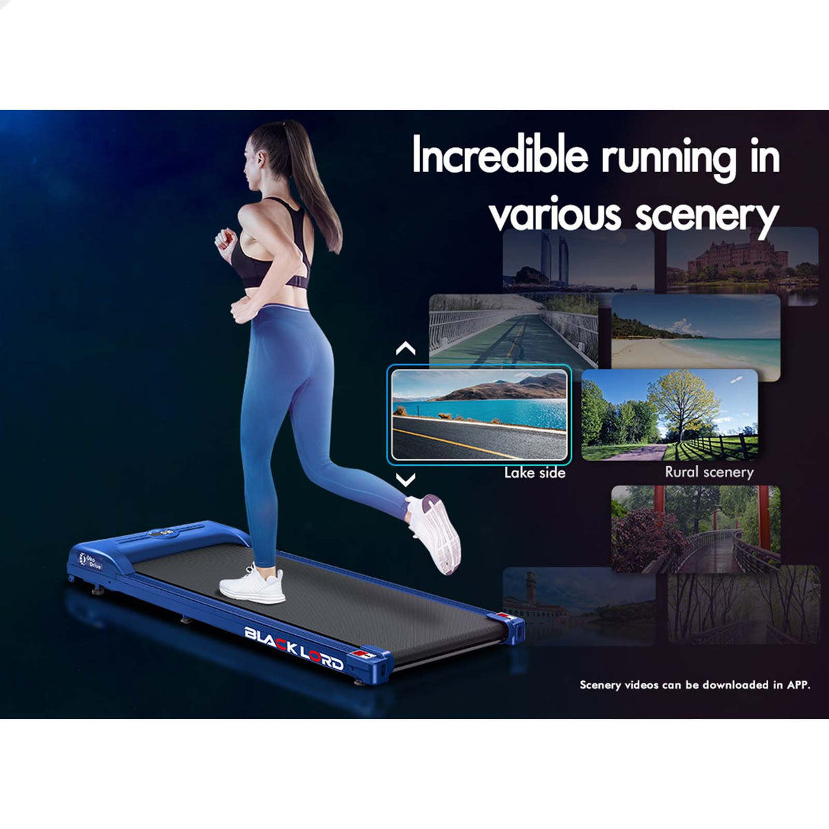 BLACK LORD Treadmill Electric Walking Pad Fitness Machine Home Gym Blue