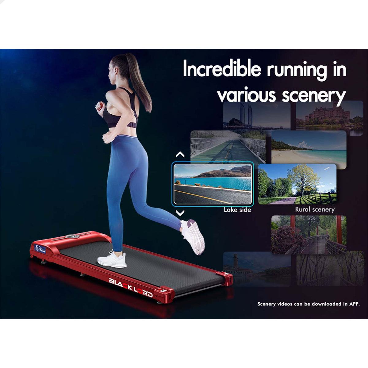 BLACK LORD Treadmill Electric Walking Pad Fitness Machine Home Gym Red