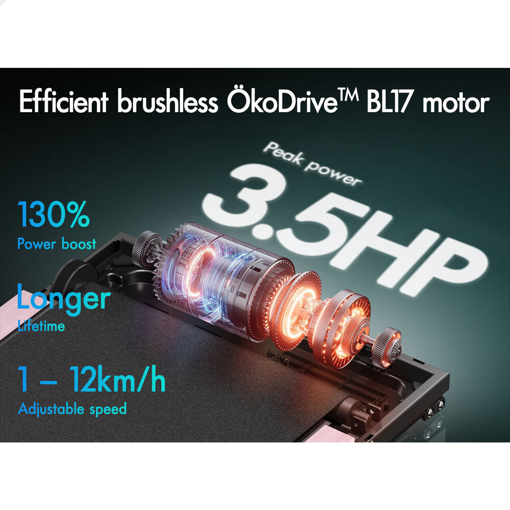 BLACK LORD Treadmill Electric Walking Pad Incline Gym Brushless Motor Pink