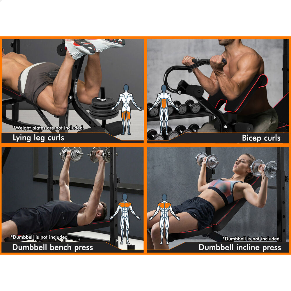 BLACK LORD Weight Bench 10in1 Multi-Station