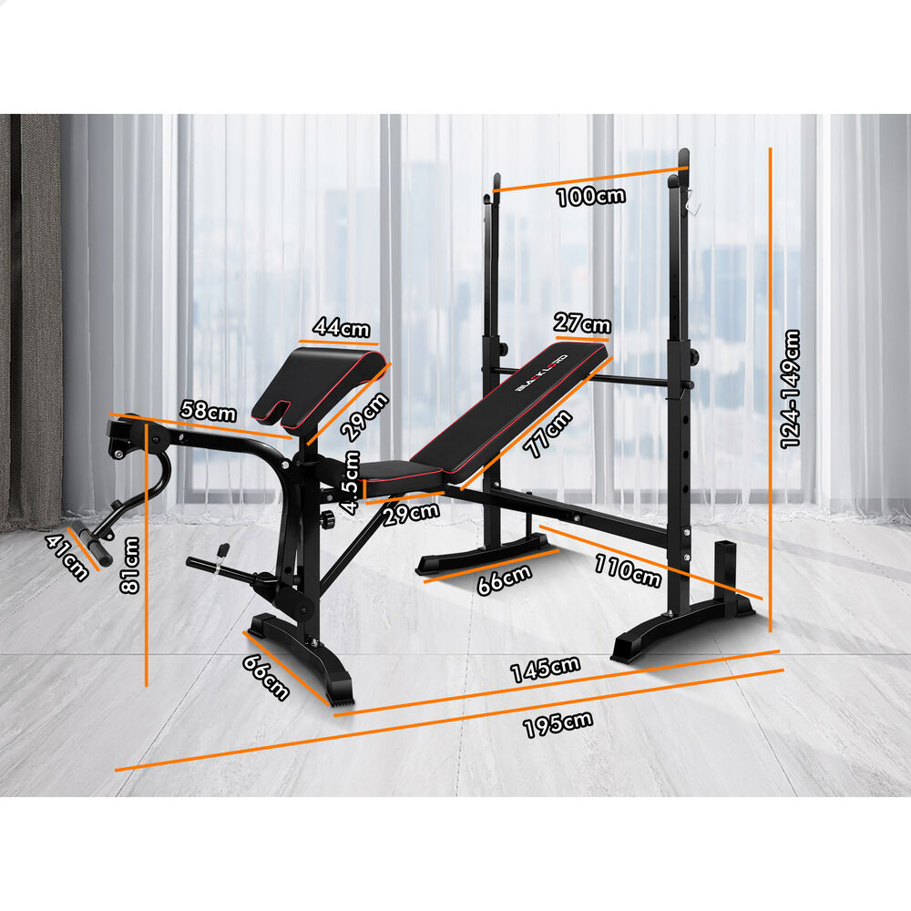 BLACK LORD Weight Bench 10in1 Multi-Station