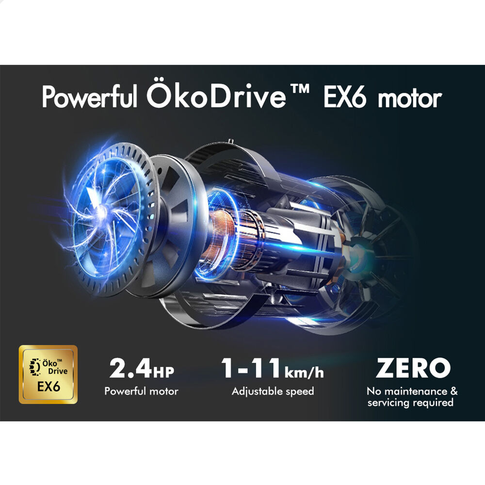 BLACK LORD Treadmill Electric Walking Pad Under Desk Home Gym Incline Fitness