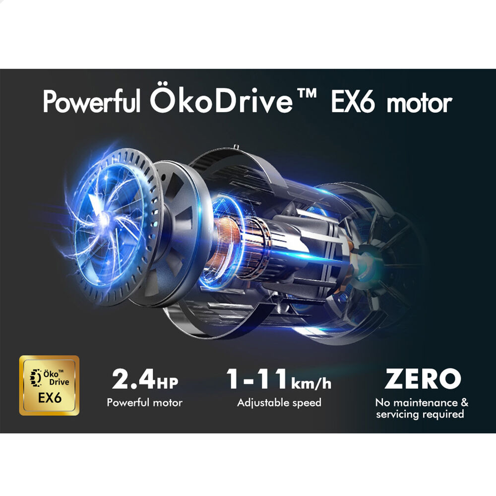 BLACK LORD Treadmill Electric Walking Pad Under Desk Home Gym Incline Pink