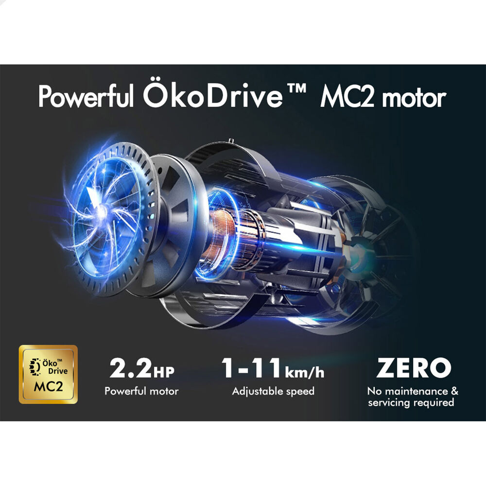 BLACK LORD Treadmill Electric Walking Pad Incline Home Gym Magnetic Remote Pink